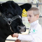 Livestock-Show-134.jpg