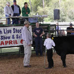 Livestock-Show-217.jpg