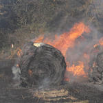 Hwy-168-Fire-037.jpg