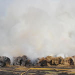 Hwy-168-Fire-063.jpg