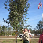 NHS-Arbor-Day-020.jpg
