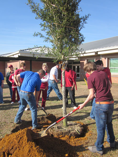 NHS-Arbor-Day-033.jpg