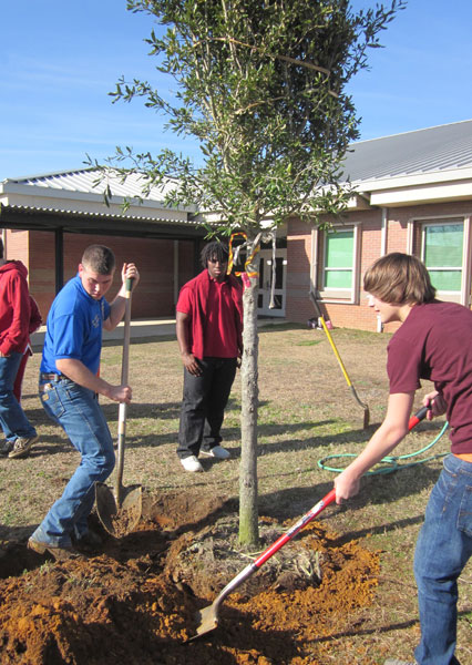 NHS-Arbor-Day-034.jpg