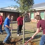 NHS-Arbor-Day-034.jpg