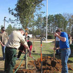 NHS-Arbor-Day-036.jpg