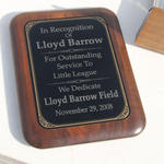 Lloyd-Barrow-Field-070.jpg
