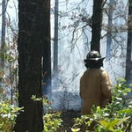 Brush-Fire-019.jpg