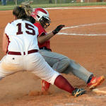 Pine Forest at Northview