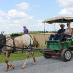 Wagon-Train-032.jpg