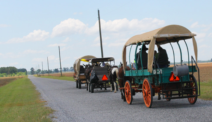 Wagon-Train-033.jpg