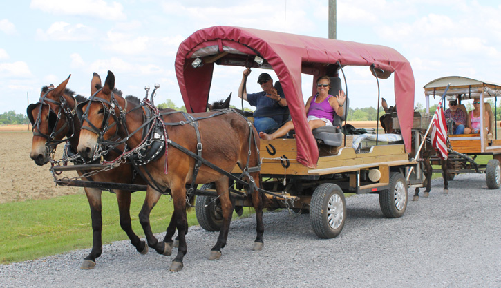 Wagon-Train-036.jpg