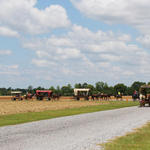 Wagon-Train-041.jpg