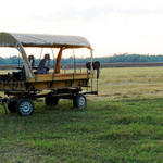 Wagon-Train-046.jpg