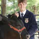 Livestock-Show-015.jpg