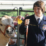 Livestock-Show-023.jpg