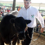 Livestock-Show-027.jpg