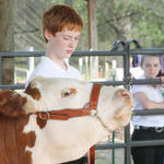 Livestock-Show-030.jpg