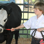 Livestock-Show-031.jpg