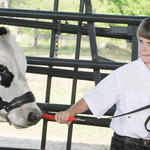 Livestock-Show-044.jpg