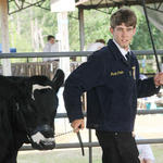 Livestock-Show-047.jpg