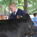 Livestock-Show-048.jpg