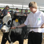 Livestock-Show-049.jpg