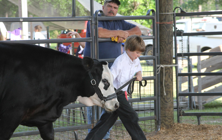 Livestock-Show-060.jpg