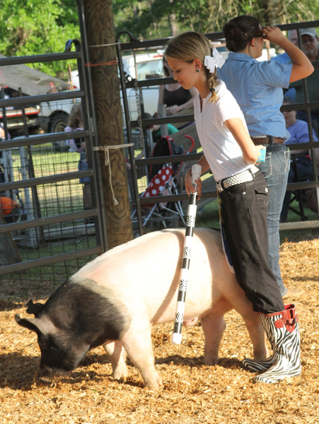 Livestock-Show-118.jpg