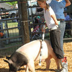 Livestock-Show-118.jpg