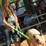 Livestock-Show-119.jpg