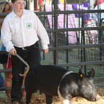 Livestock-Show-123.jpg