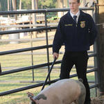 Livestock-Show-125.jpg