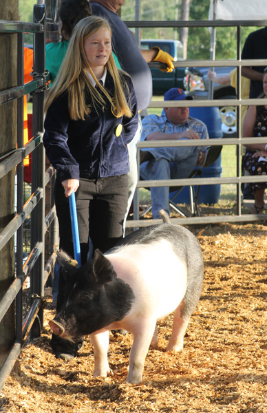 Livestock-Show-126.jpg