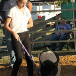 Livestock-Show-127.jpg