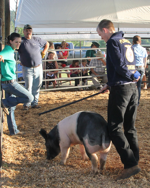 Livestock-Show-128.jpg