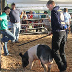 Livestock-Show-128.jpg