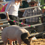 Livestock-Show-131.jpg