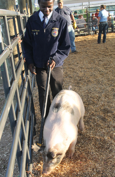 Livestock-Show-132.jpg