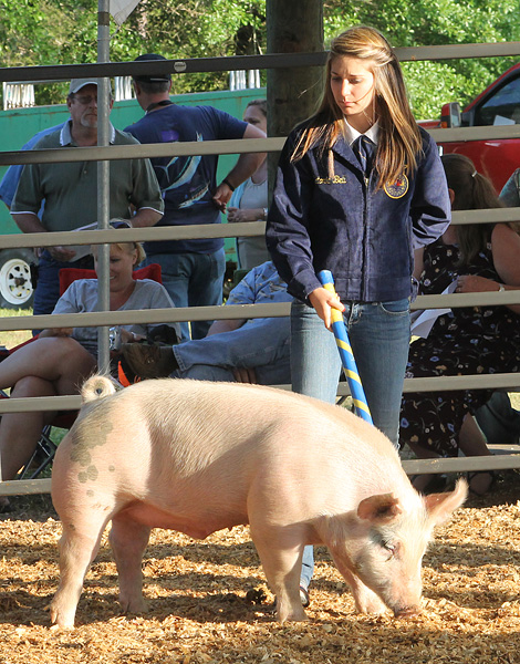 Livestock-Show-135.jpg