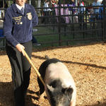 Livestock-Show-136.jpg
