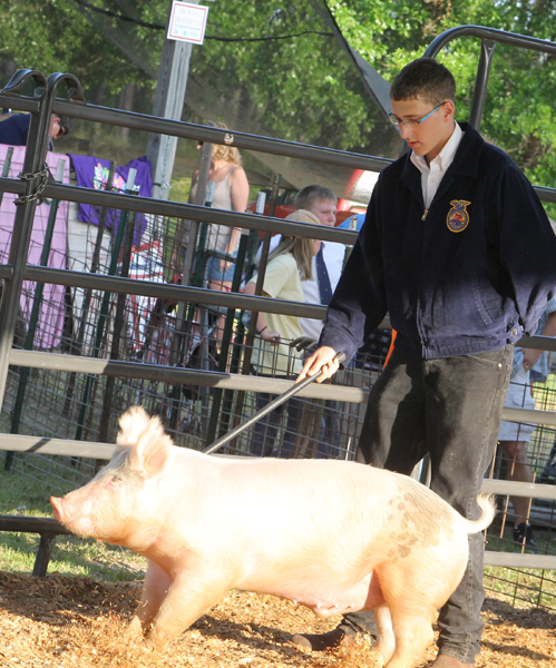Livestock-Show-145.jpg