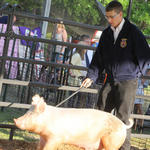 Livestock-Show-145.jpg