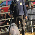 Livestock-Show-150.jpg