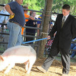 Livestock-Show-153.jpg