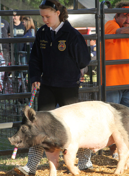 Livestock-Show-164.jpg