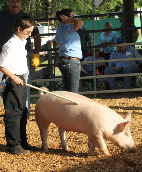 Livestock-Show-165.jpg