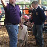 Livestock-Show-170.jpg