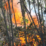 Eicher-Rd-Brush-Fire-022.jpg