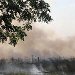 Eicher-Rd-Brush-Fire-032.jpg