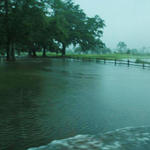 flooding70.jpg